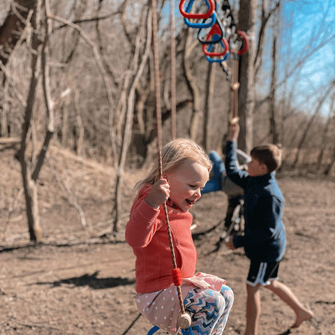 monkey bar swing