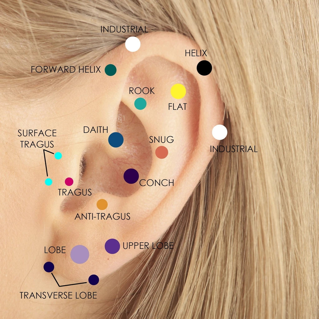 Cartilage Earrings Piercing Body Jewelry Guide