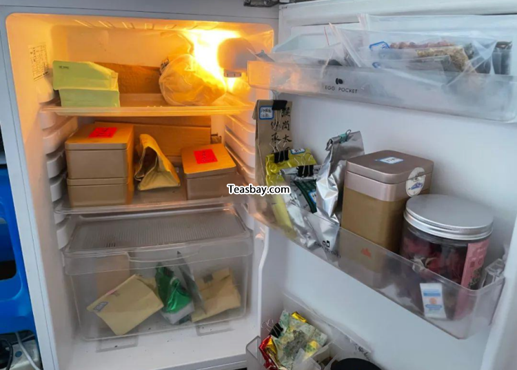 how to storage green tea in refrigerator