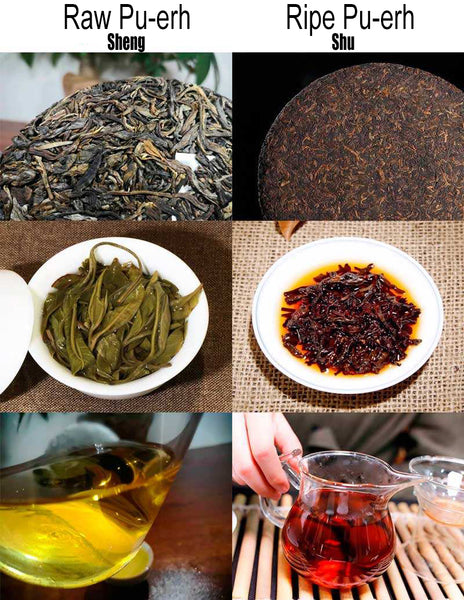 Ripe Puer Vs. Raw Puer