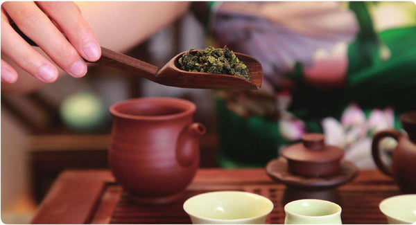 how to brew taiwan oolong tea