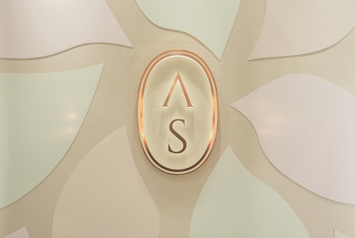 anna skye's metal back luminous logo