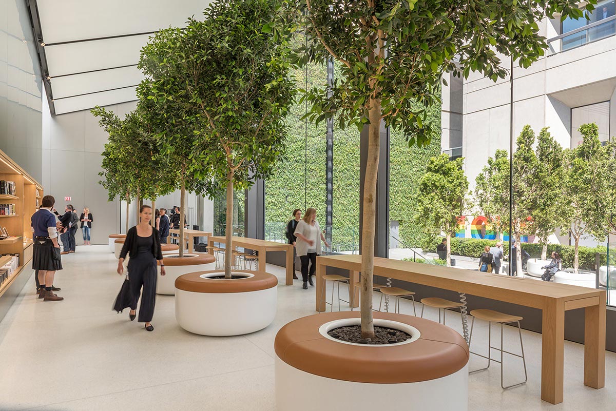 Apple opens green-filled san francisco union square store by foster ...