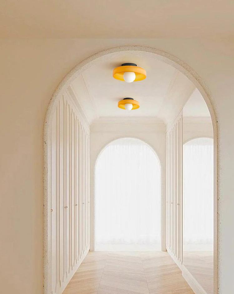 250mm/350mm Disc Ceiling / Wall Lamp | Sconces