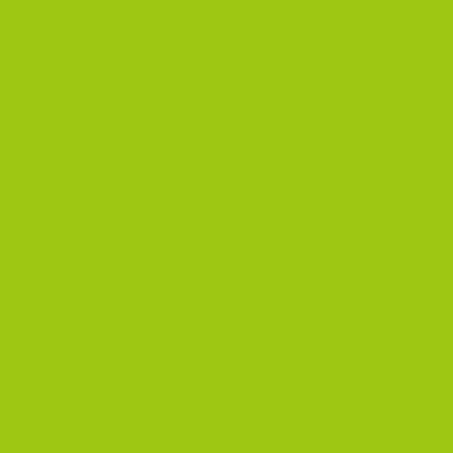 Fluorescent Green-860