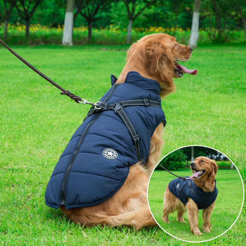 Pet Jacket With Harness Winter Warm