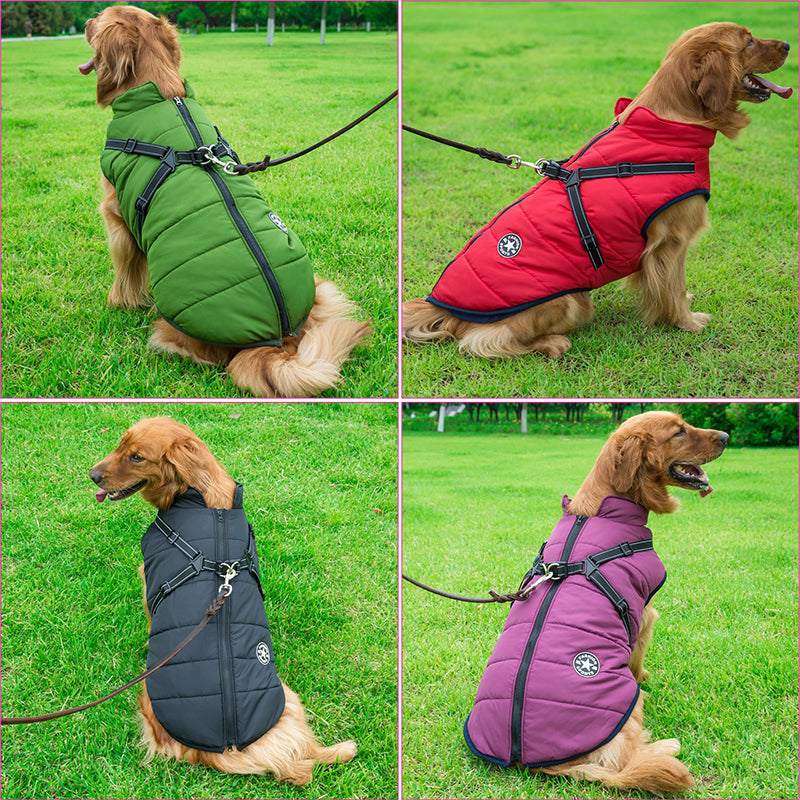 Pet Jacket With Harness Winter Warm