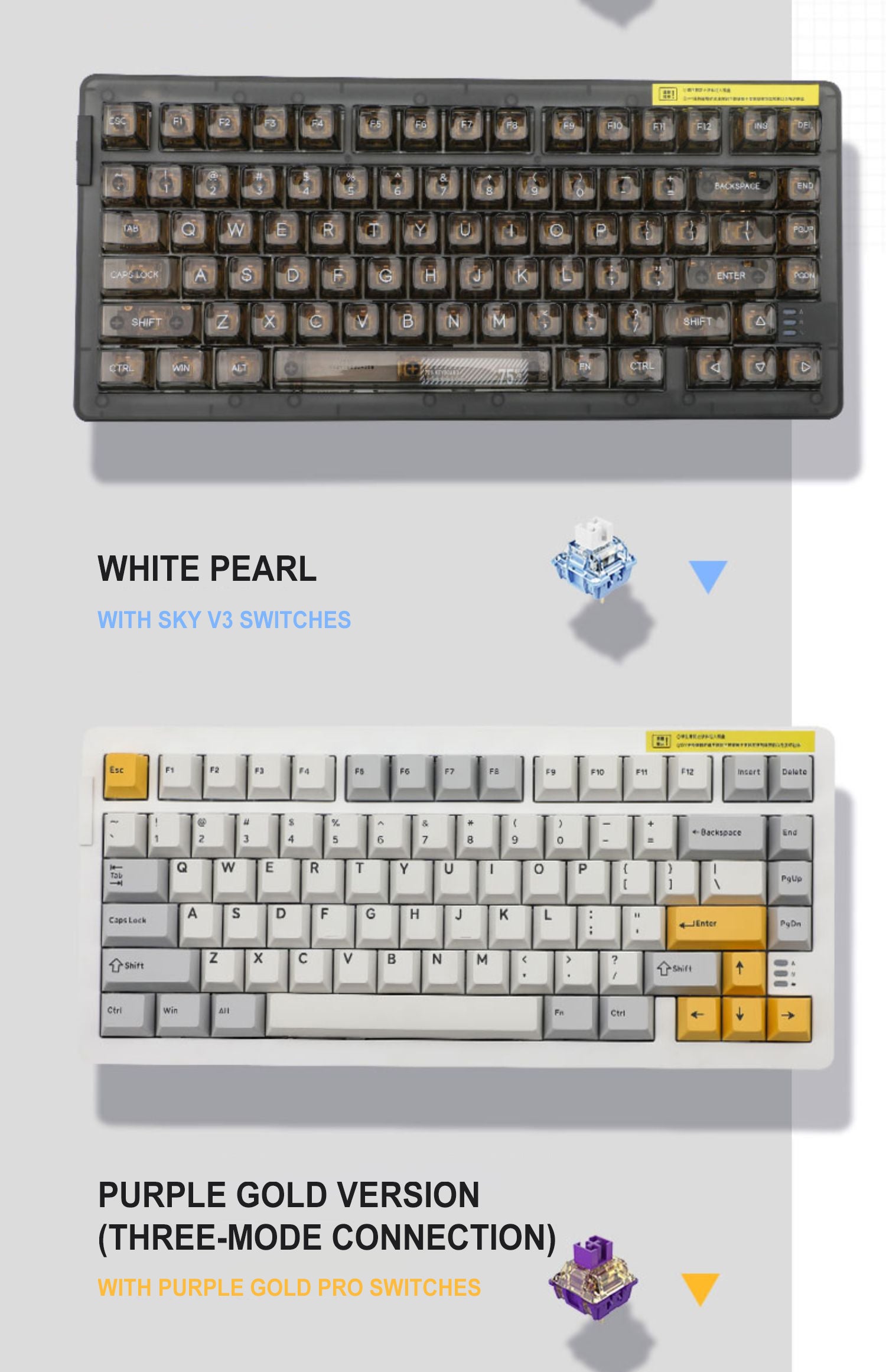 DAREU A81 PURPLE GOLD 81-Key GASKET Type-C Wired Mechanical Keyboard ft. Purple Gold Pro/Sky V3/JWK Durock Switches, N-Key Rollover & PBT Two-Color/PC Transparent Keycaps