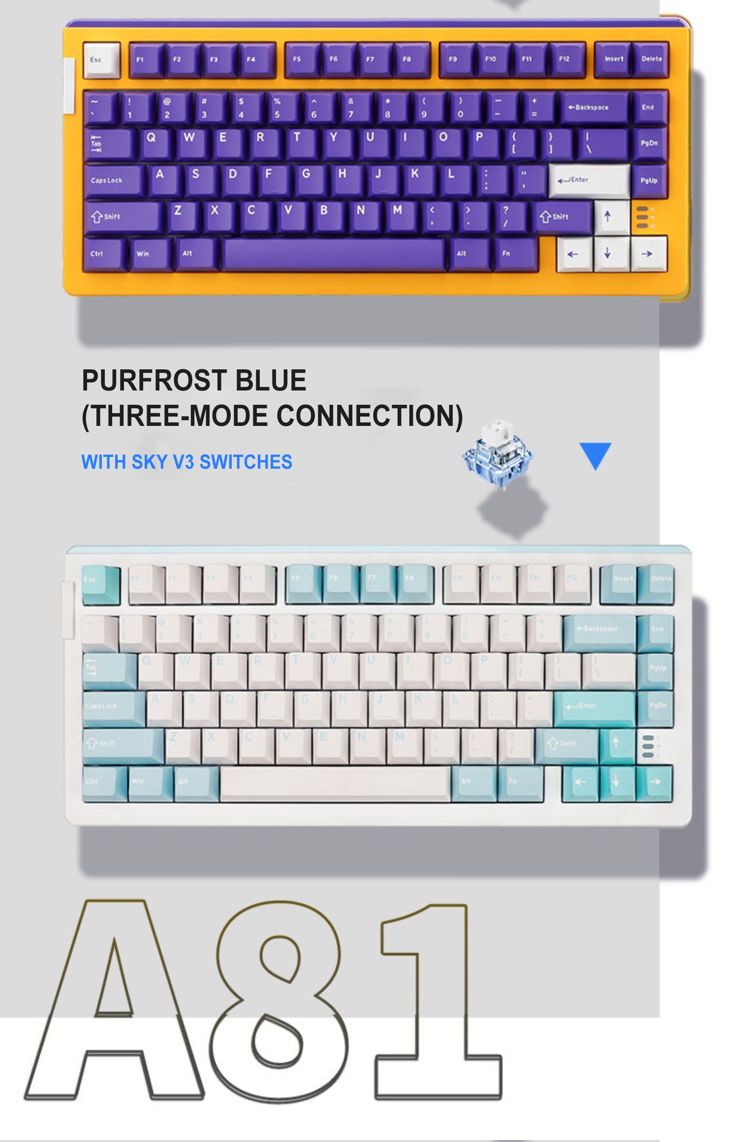 DAREU A81 PURPLE GOLD 81-Key GASKET Type-C Wired Mechanical Keyboard ft. Purple Gold Pro/Sky V3/JWK Durock Switches, N-Key Rollover & PBT Two-Color/PC Transparent Keycaps