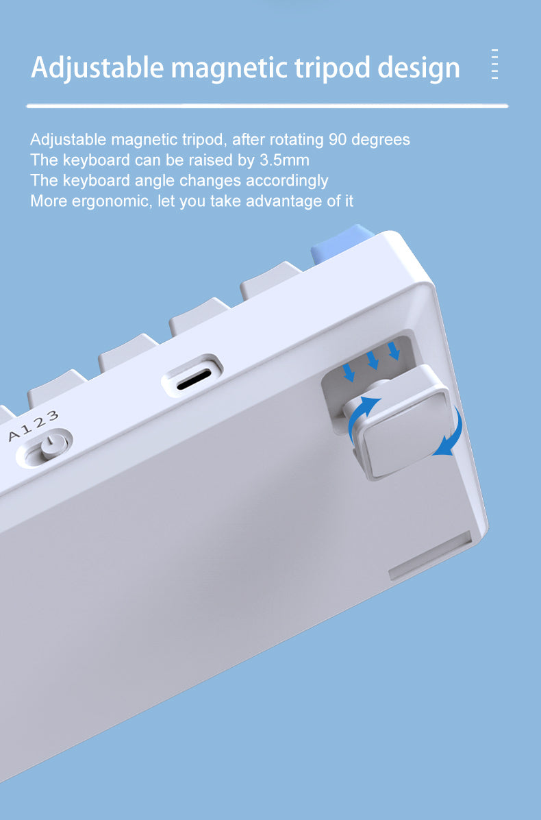 DAREU A100 Tri-Mode Connection 100% Hot-Swap RGB LED Backlit Mechanical Gaming Keyboard with TTC Gold-Pink Switch and PBT Keycaps