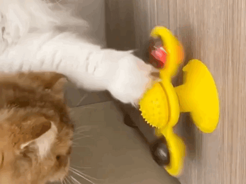 Windmill Cat Toy - FlashKitty