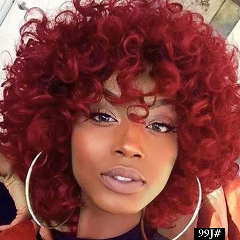 Bouncy Curly Human Hair Wig - Glueless