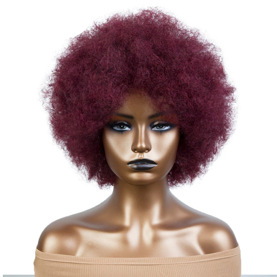 Kinky Wigs - Brazilian Human Hair Short Sassy