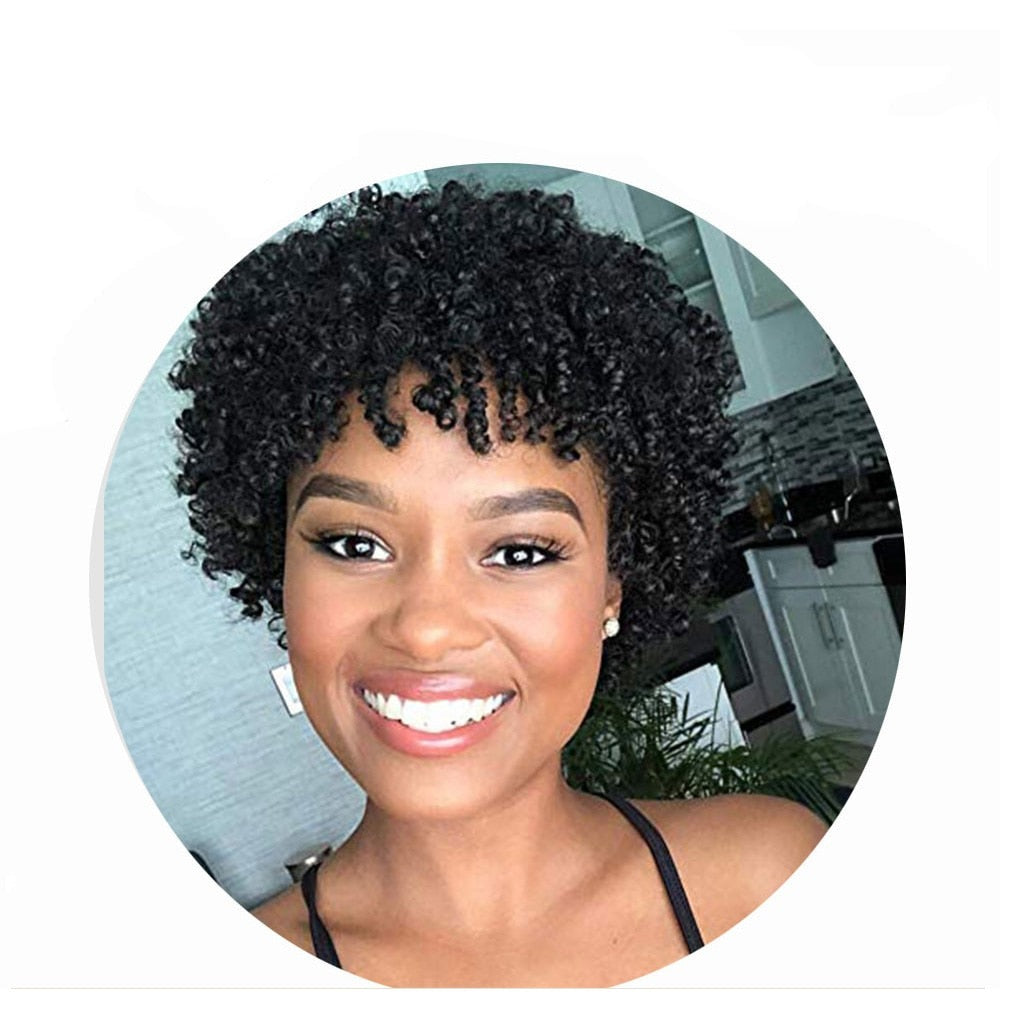 Afro Kinky Curly  Synthetic Hair - Glueless