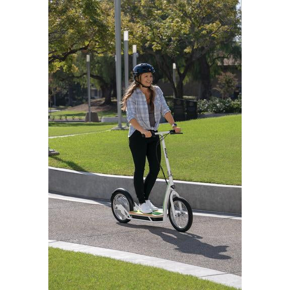 https://cdn.shopifycdn.net/s/files/1/0273/7691/0433/products/razor-ecosmart-sup-36v-350w-stand-up-electric-scooter-rz-esup-29505449459909.jpg?v=1628358590