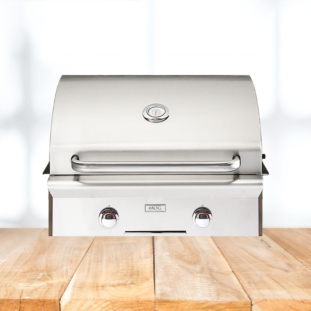 AMERICAN OUTDOOR GRILL 24NBT-00SP T-Series 2-Burner Built-In Natural Gas Grill, 24