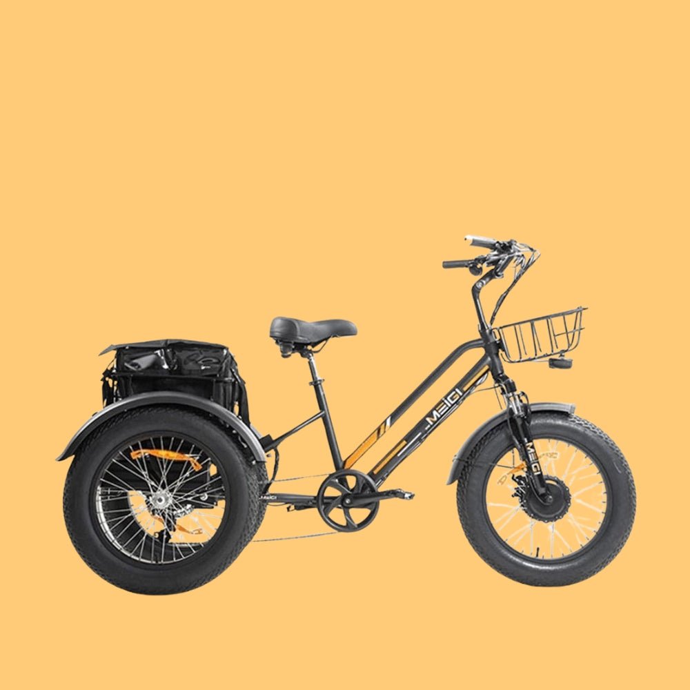 DWMEIGI MG1703 48V/18.2Ah 750W Fat Tire Electric Trike, 330LBS