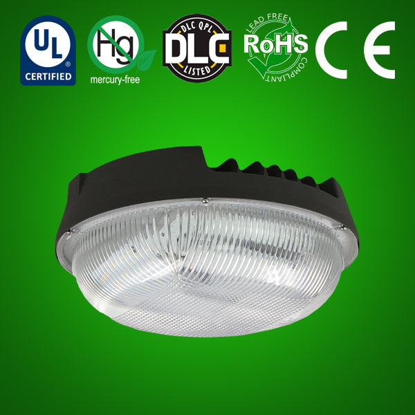 LED Round Canopy Light