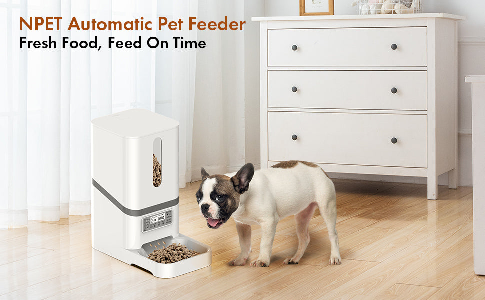 automatic pet feeder