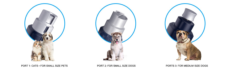 Dog Nail Grinder application