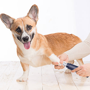 Dog Nail Grinder grinding