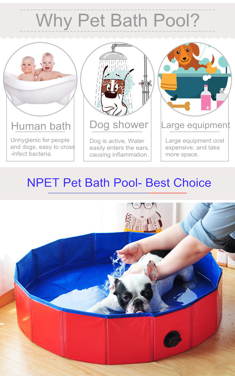 Dog Swimming Pool
