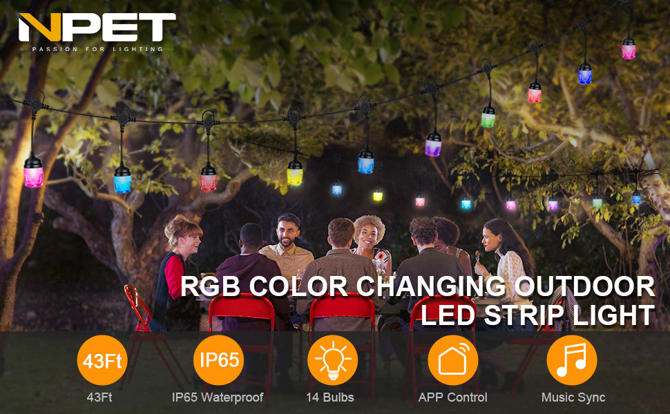 NEPT rgb light