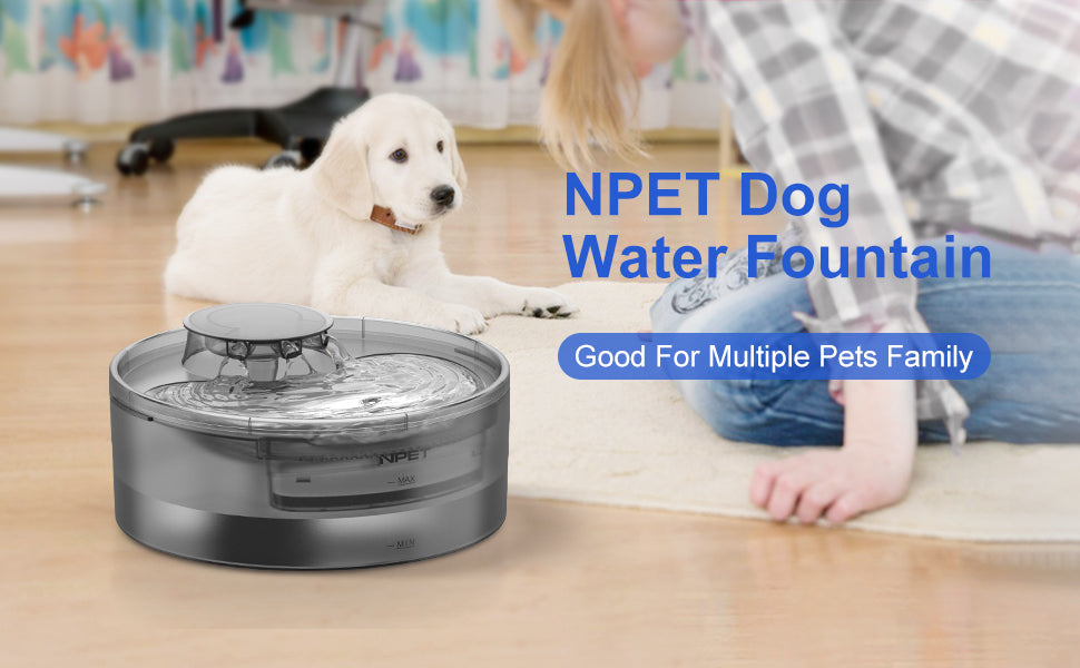 NPET water fountain