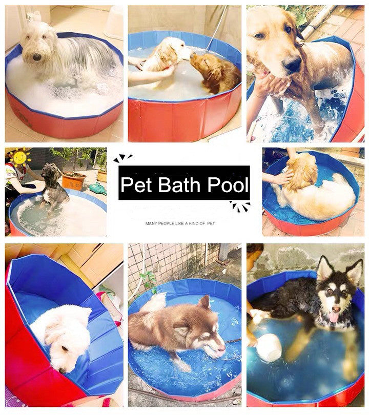 Pet Swimming Pool