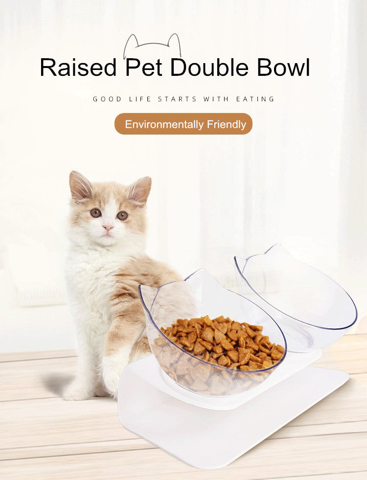 cat double bowls