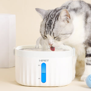 cat water fountain