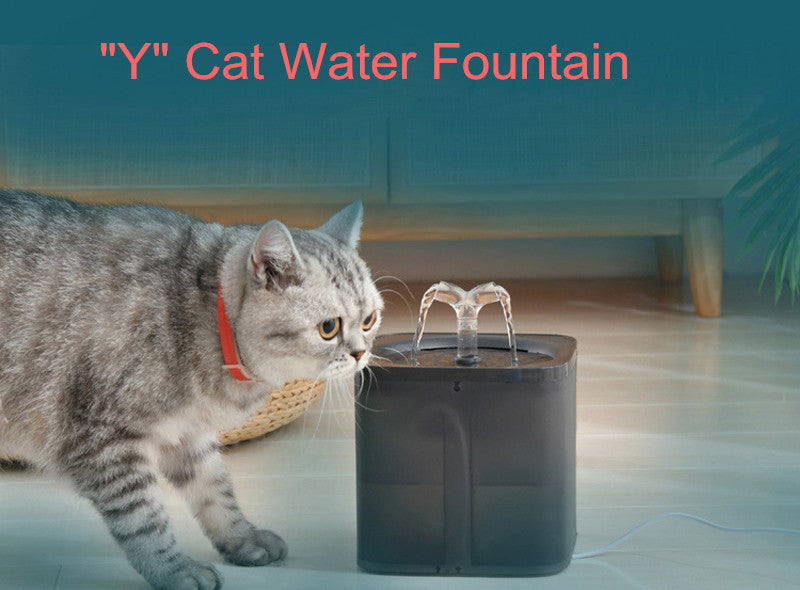cat water fountain transparent