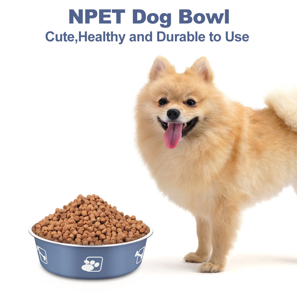 Dog Bowl