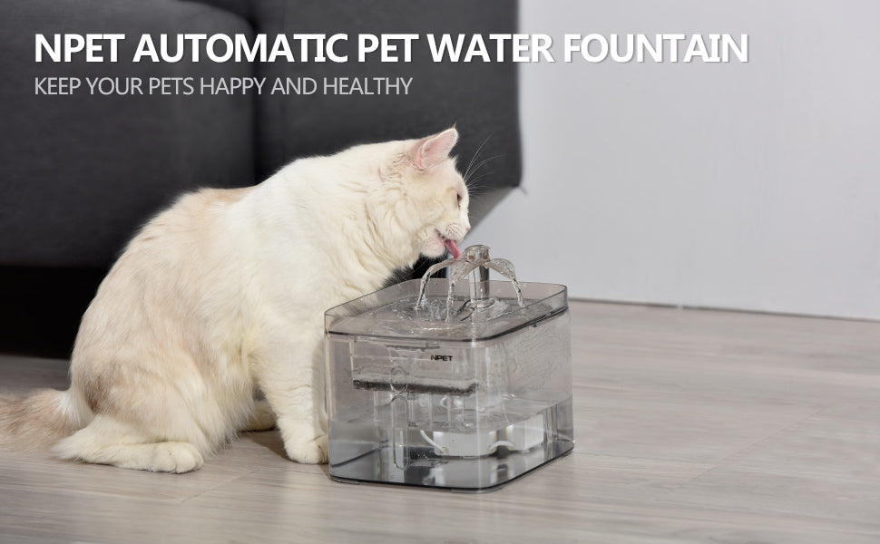 npet pet water fountain