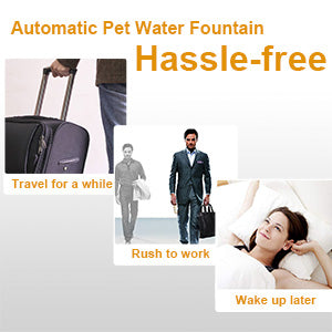 NPET WF010 Automatic Pet Water Fountain