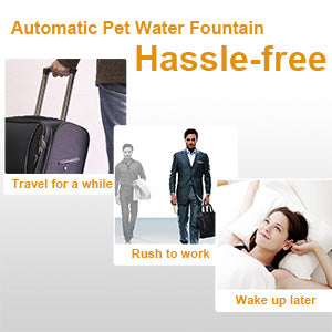 pet water fountain