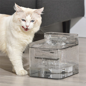 pet water fountain