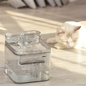 pet water fountain