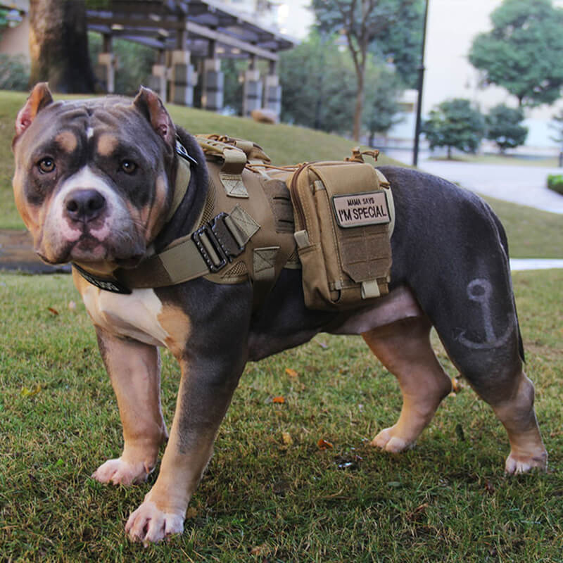 Nylon Tactical Service Dog Harness Heavy Duty Dog Training No Pull Dog ...