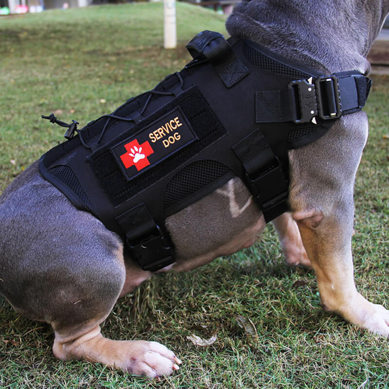 Nylon Tactical Service Dog Harness Heavy Duty Dog Training Harness