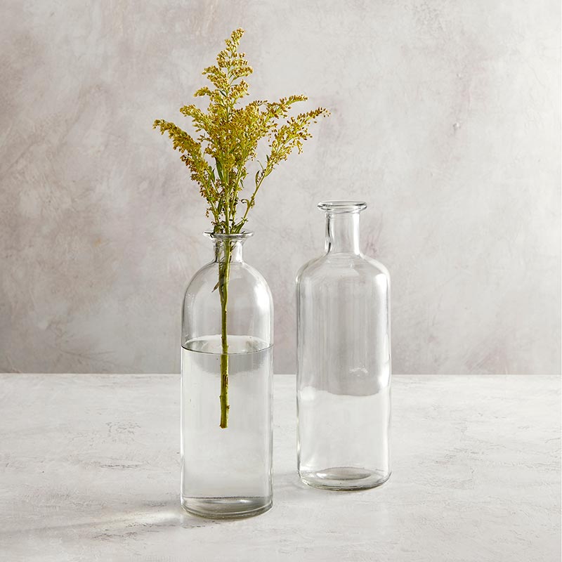 Clear Glass Vase, Set of 2