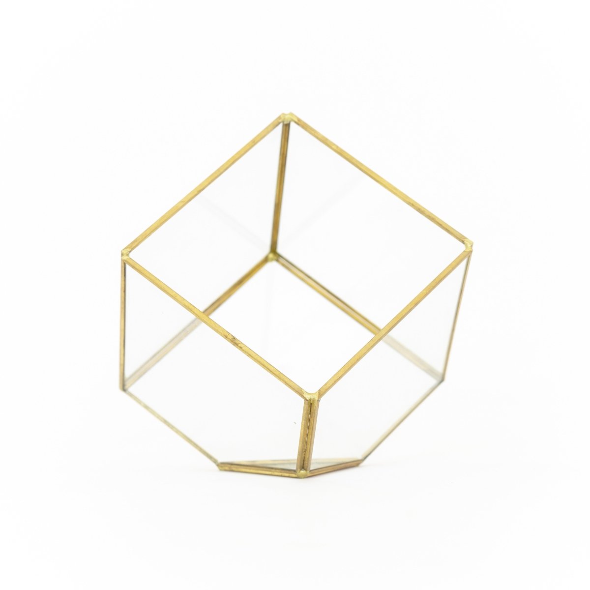 Heptahedron Geometric Glass Terrarium with Tillandsia Xerographica Air Plant