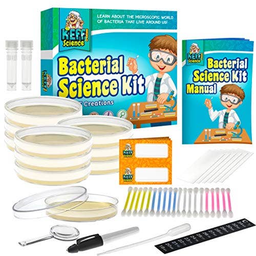 Keff Creations - Bacteria Science Kit