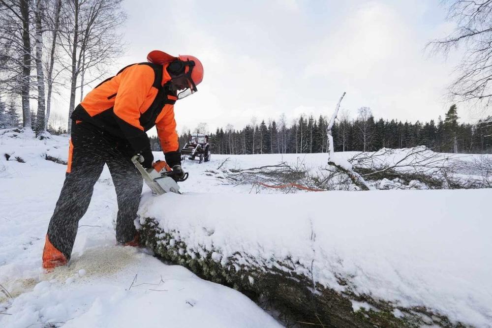 Outdoor Workman or Handyperson