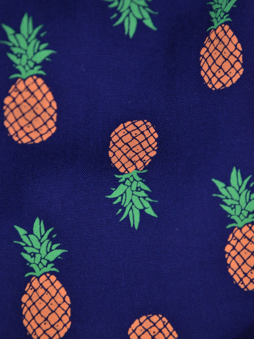 Blu Pepper Fun Tropical All Over Pineapple Print Elastic Waist Woven Shorts