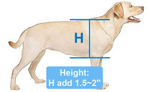 Measure Height