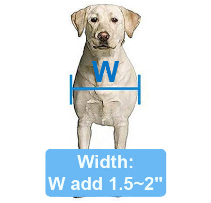 Measure Width