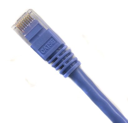 Ultra Spec Cables Pack of 30 - Purple 1FT Cat6 Ethernet Network Cable LAN Internet Patch Cord RJ45 Gigabit