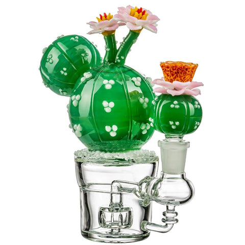 Peyote Cactus Bong