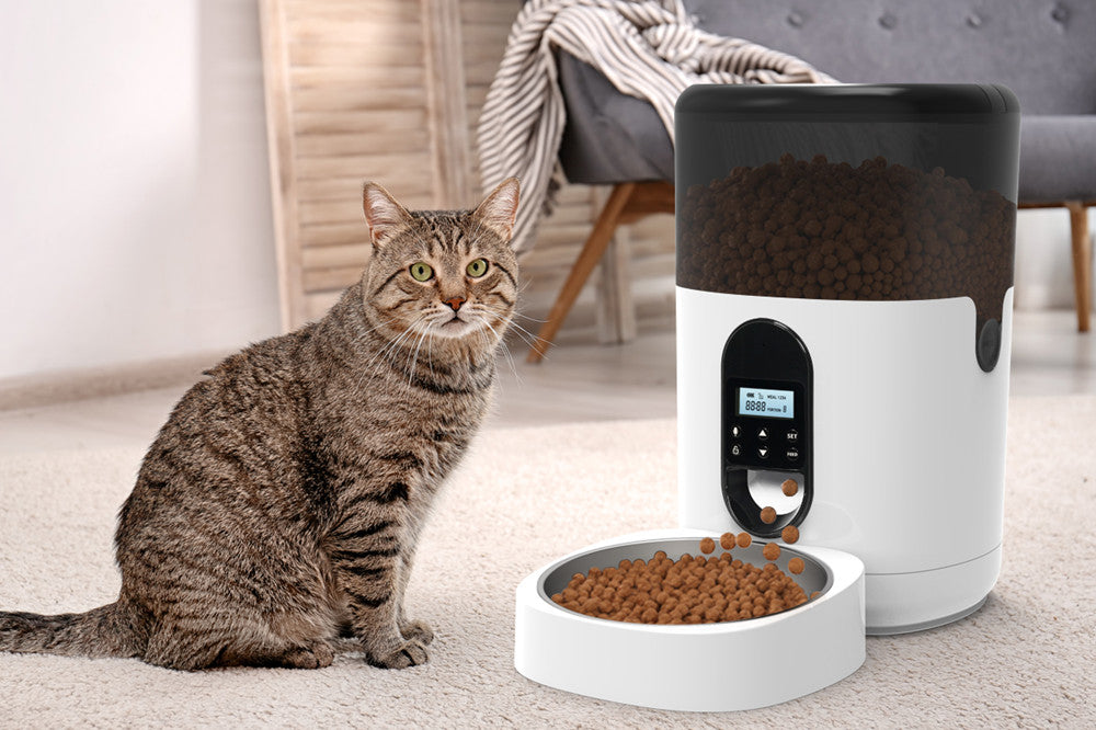 lionpapa automatic cat feeder